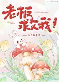 老板救我! 作者金西