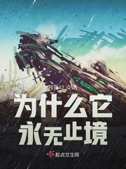 永无止境的理解